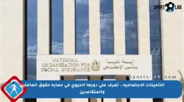 التأمينات الاجتماعية.. تعرف على دورها الحيوي في حماية حقوق العاملين والمتقاعدين